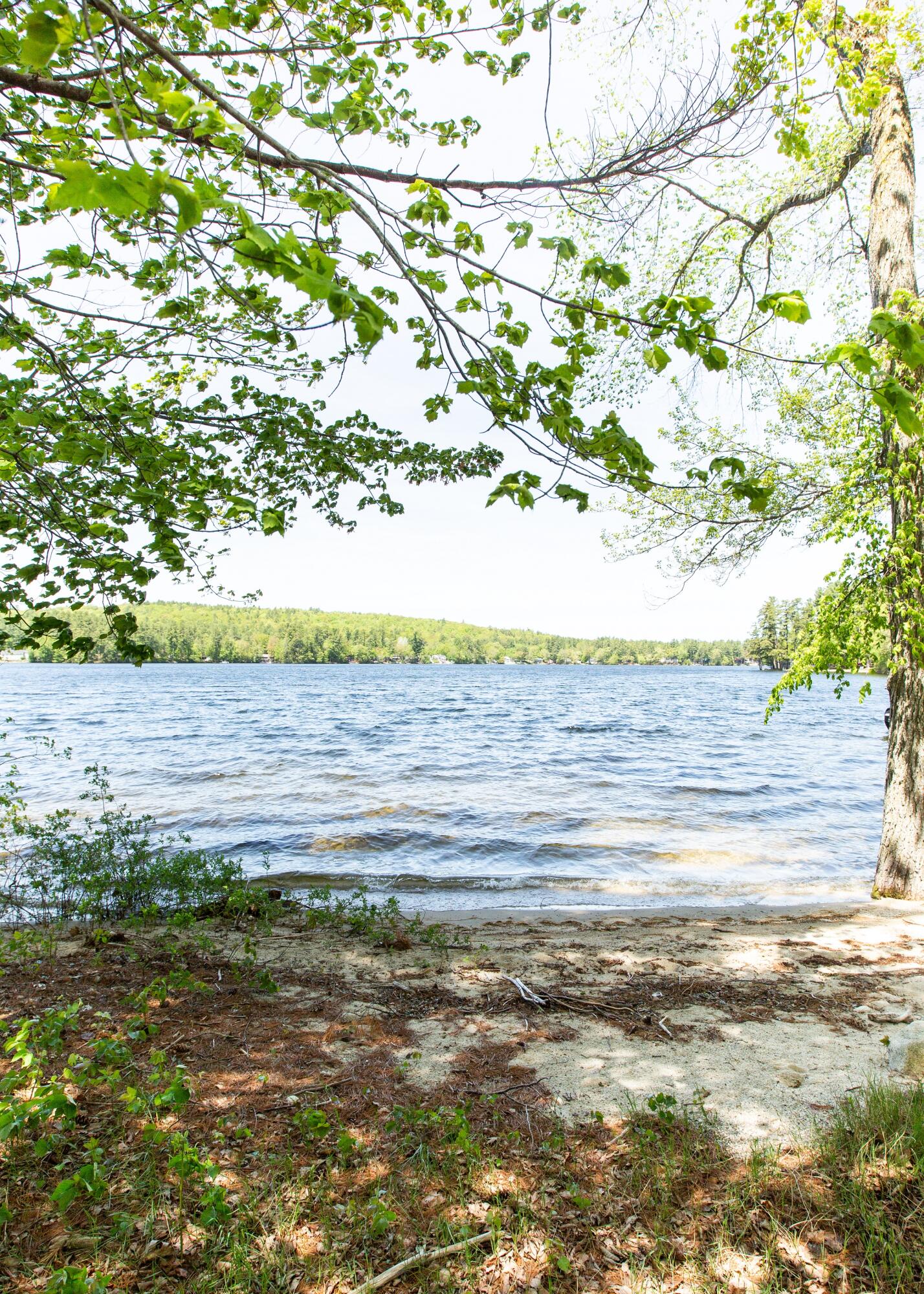 320 Shaker Road Gray, ME 04039 - Photo 13 of 16 beach