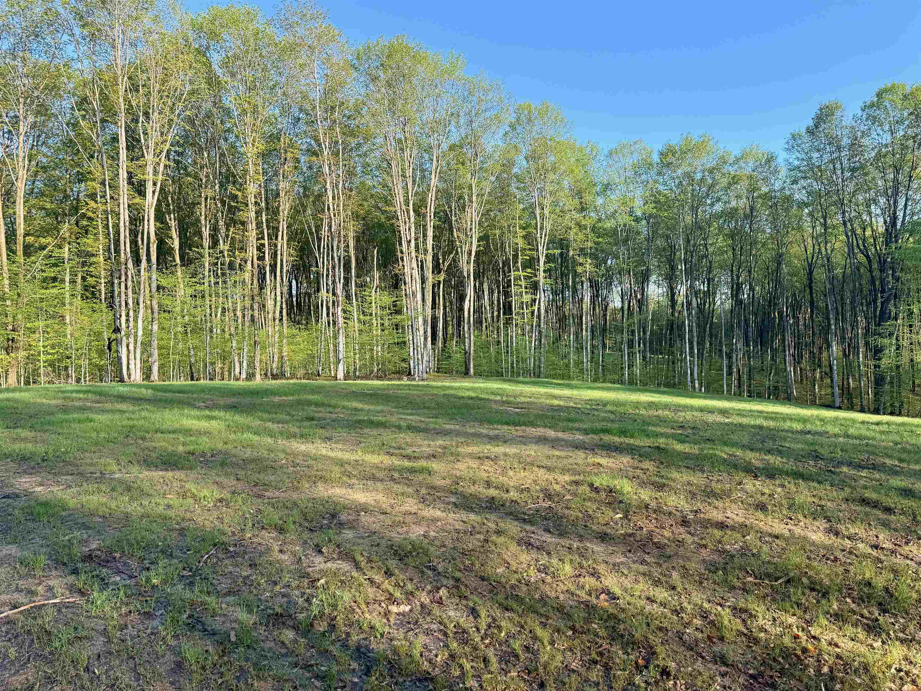 1 South Bright Road, Unit LOT: 1 Maple City, MI 49664 - Photo 6 of 11