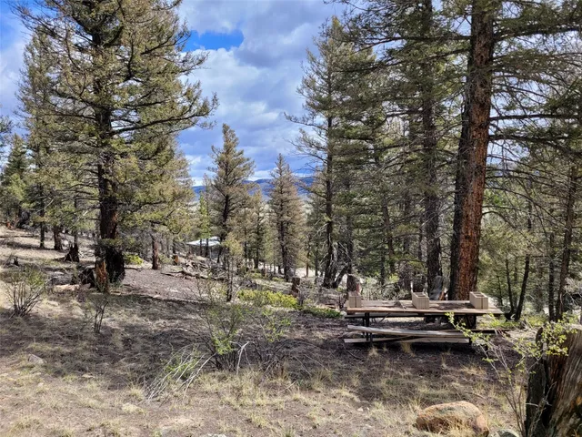 $69,900 | 1787 Redhill Road, Fairplay, CO 80440