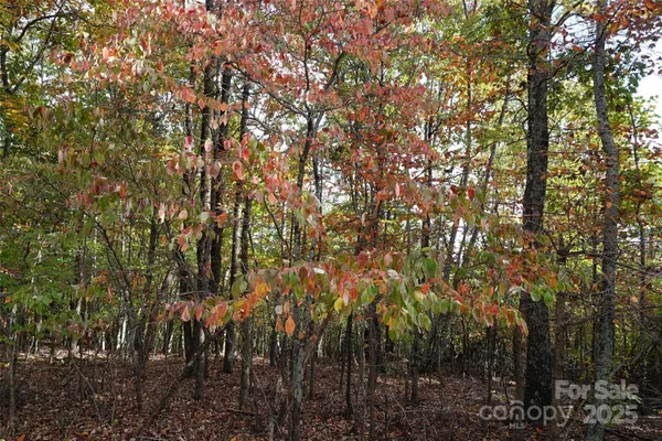 a view of city street with a trees
