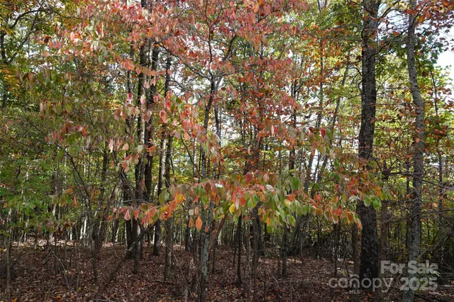 a view of city street with a trees