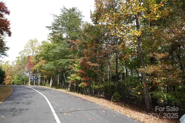 a view of forest