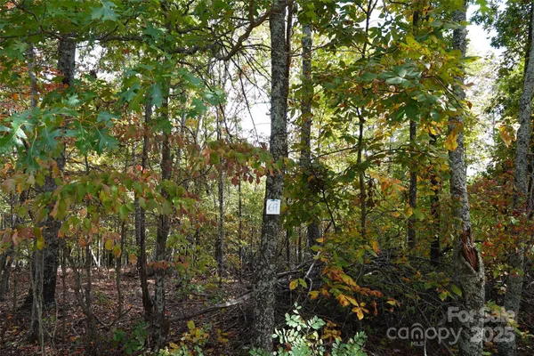 a view of a bench in a garden