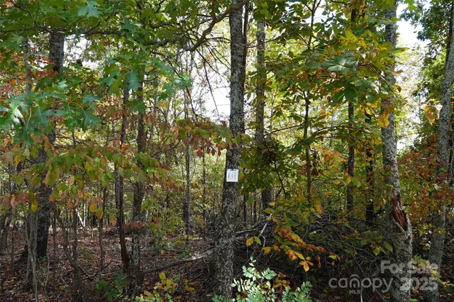 a view of a bench in a garden