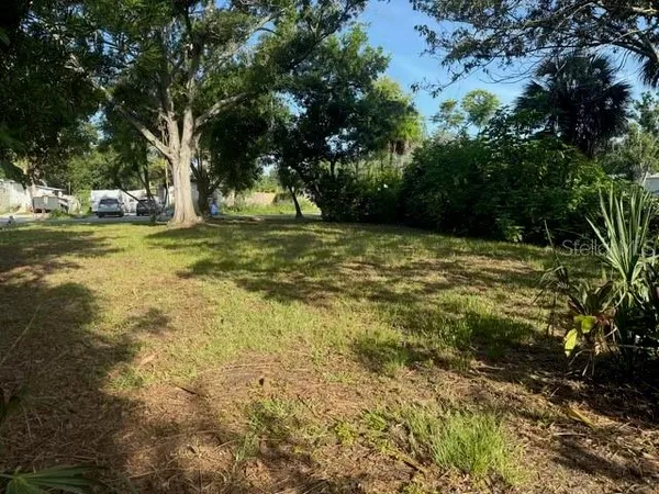 a view of a trees with a house