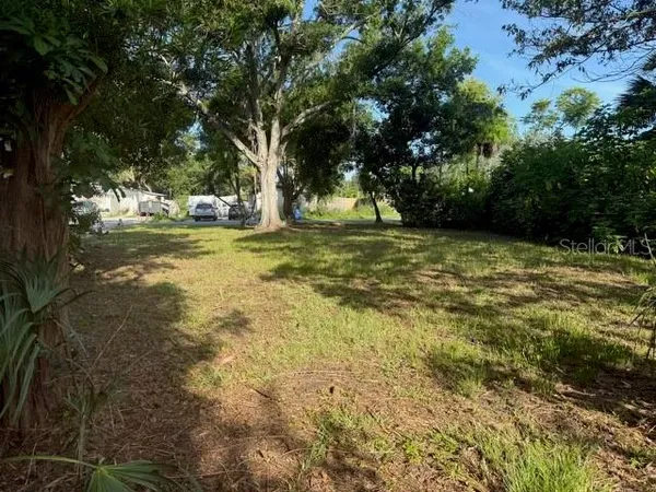 a view of a trees with a house