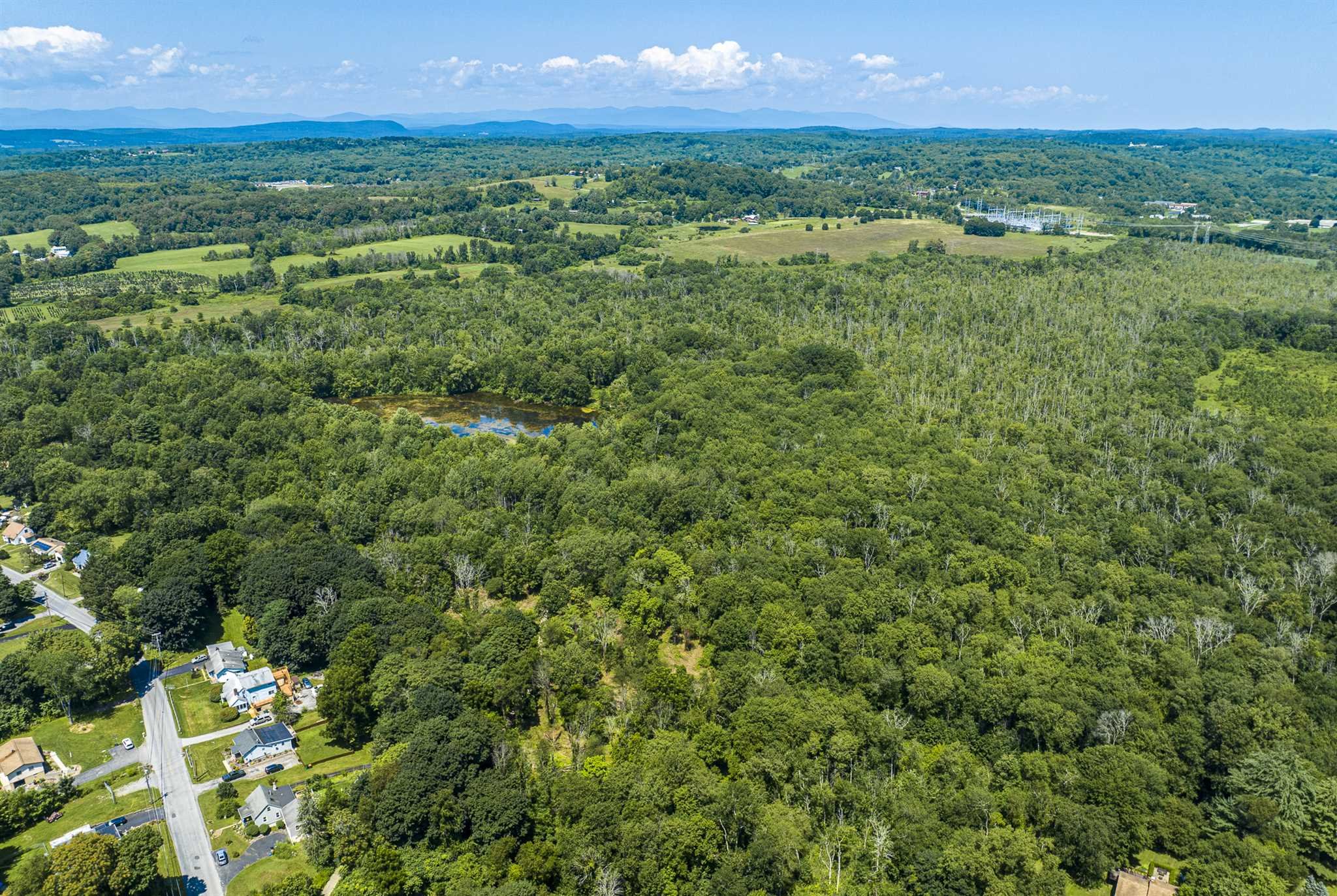 a view of a city with lush green forest
