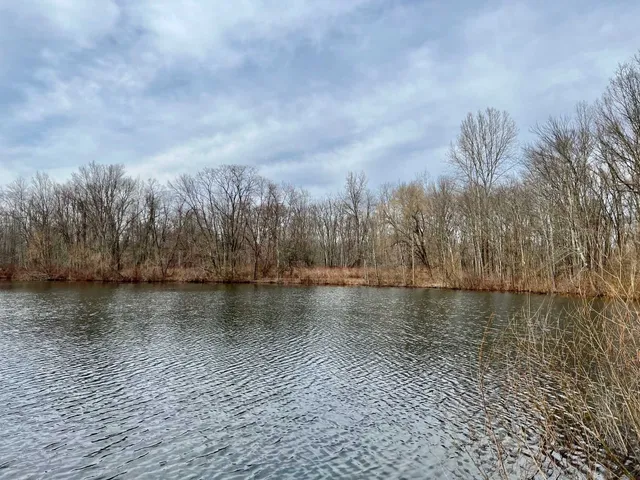 a view of a lake with trees in the background
