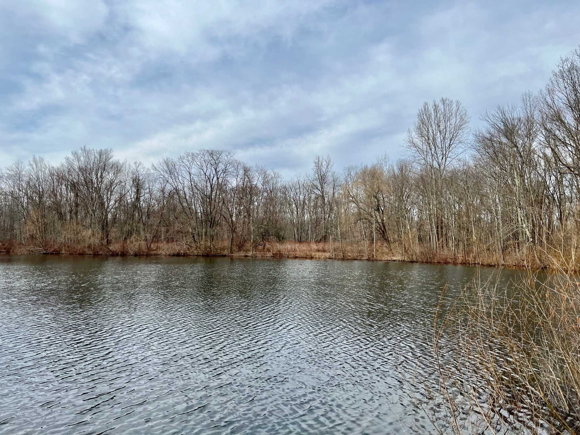 171 Bower Road Pleasant Valley, NY 12603 - Photo 11 of 32 a view of a lake with trees in the background