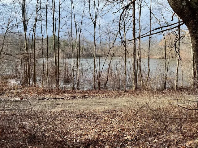 a view of a backyard of the house