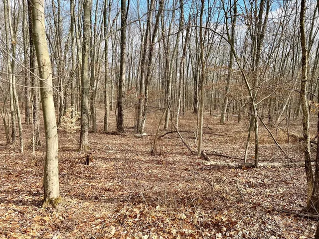 a view of wooden fence