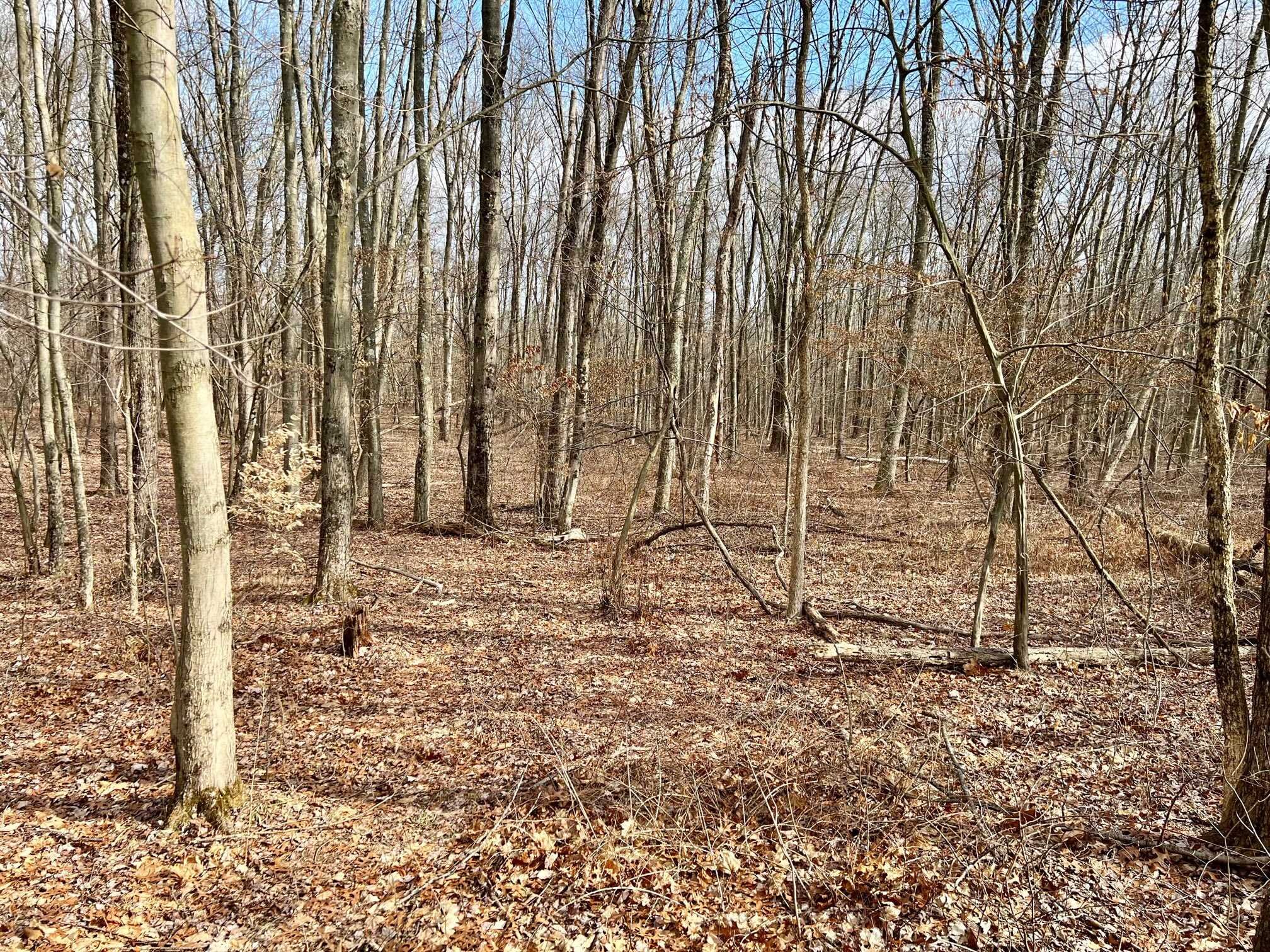 171 Bower Road Pleasant Valley, NY 12603 - Photo 19 of 32 a view of wooden fence