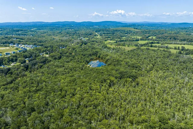 a view of a lush green outdoor space with a mountain in the background