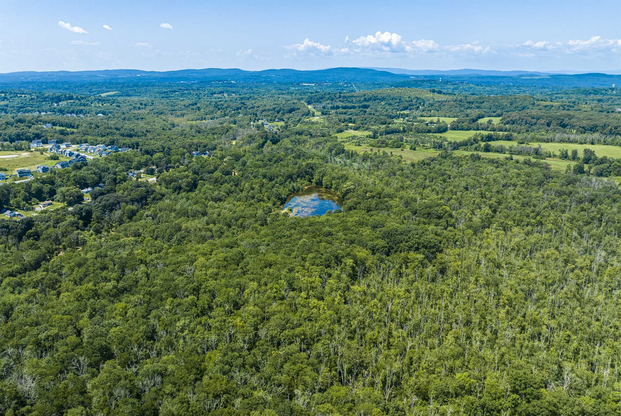 171 Bower Road Pleasant Valley, NY 12603 - Photo 2 of 32 a view of a lush green outdoor space with a mountain in the background