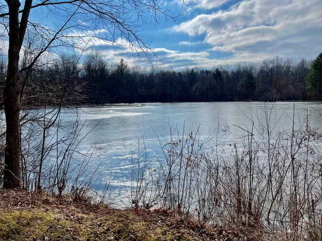 a view of backyard and trees