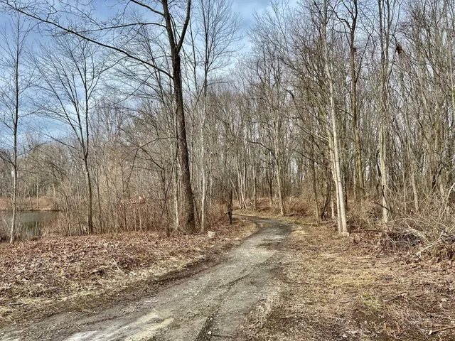 a view of dirt yard with a tree