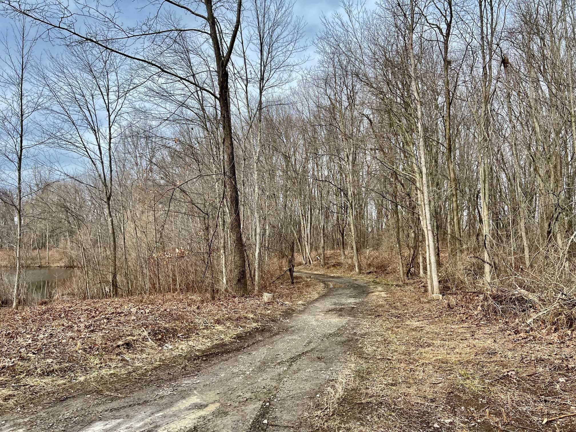 171 Bower Road Pleasant Valley, NY 12603 - Photo 24 of 32 a view of dirt yard with a tree