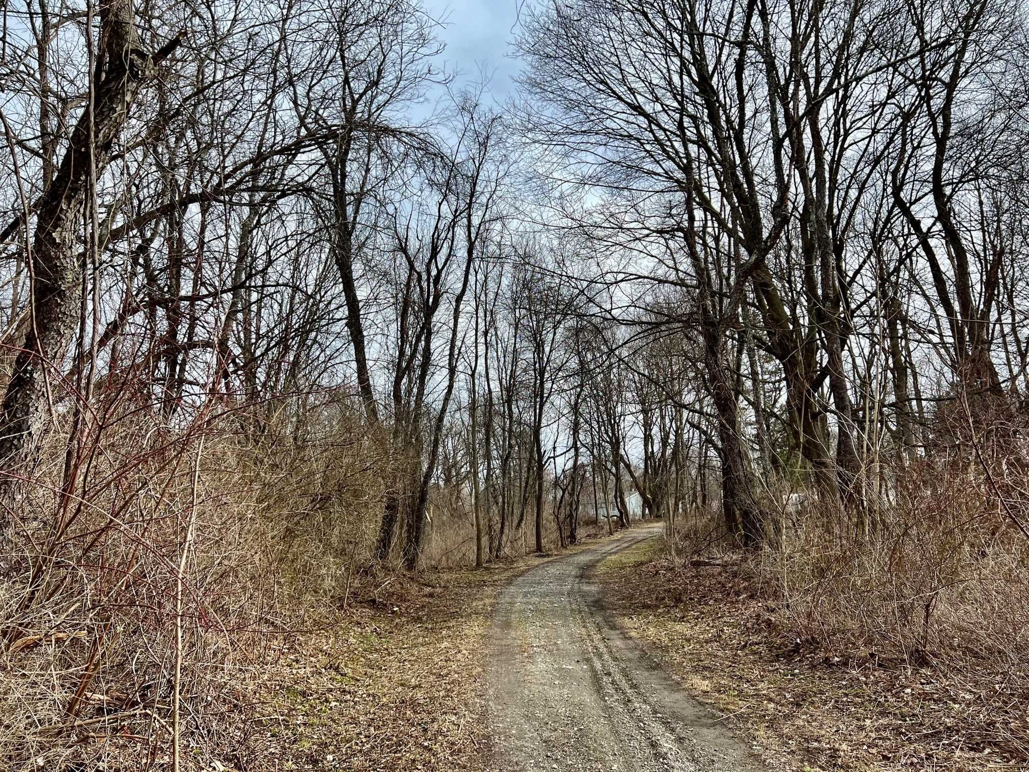 171 Bower Road Pleasant Valley, NY 12603 - Photo 27 of 32 a view of a forest with trees