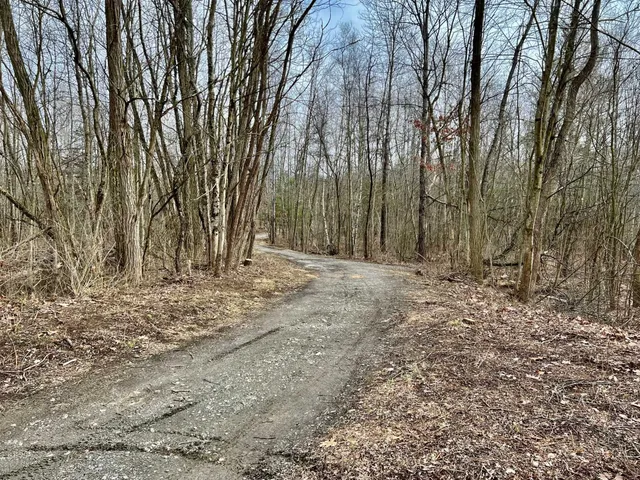 a view of dirt yard with a tree