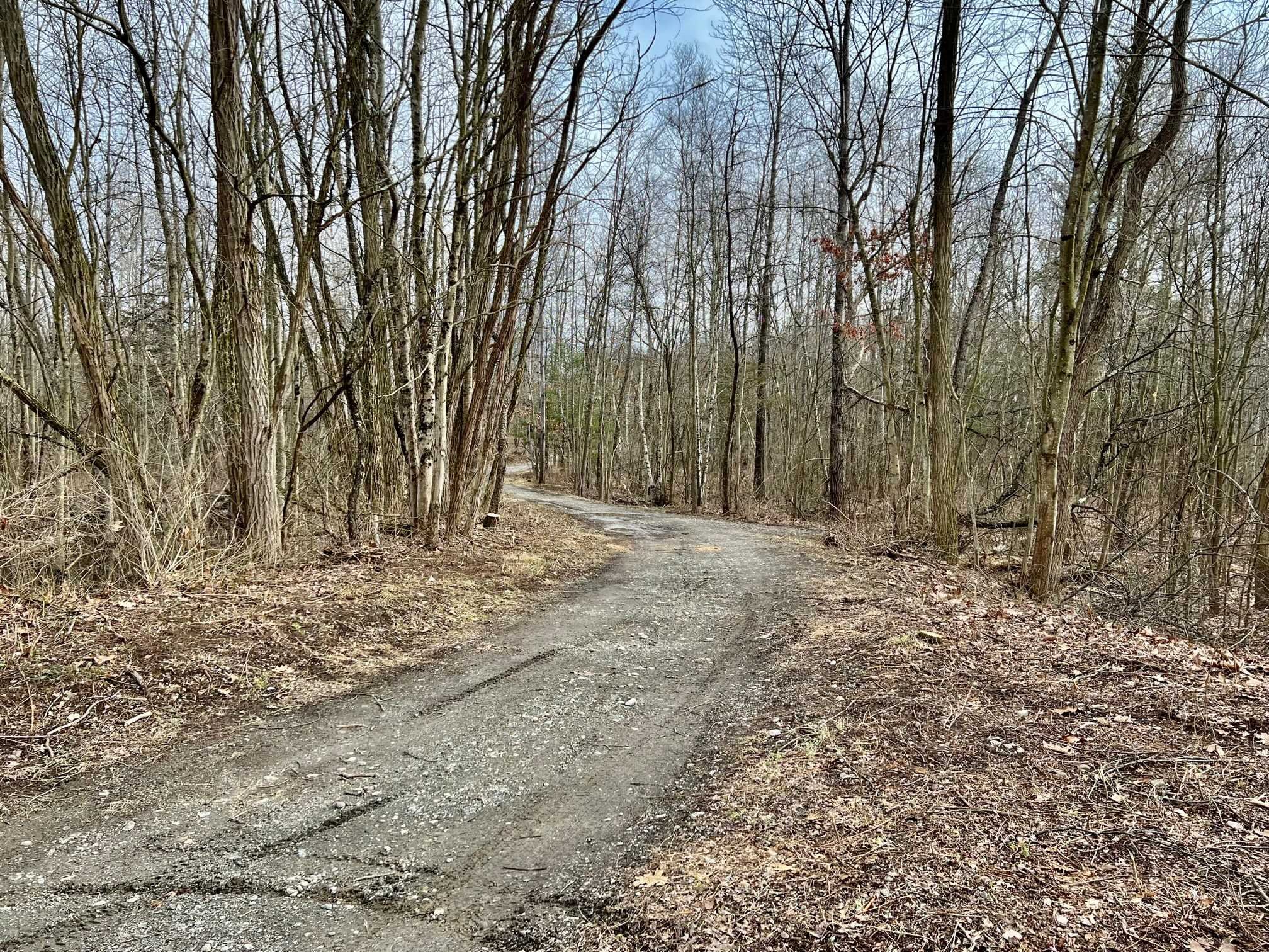 171 Bower Road Pleasant Valley, NY 12603 - Photo 28 of 32 a view of dirt yard with a tree