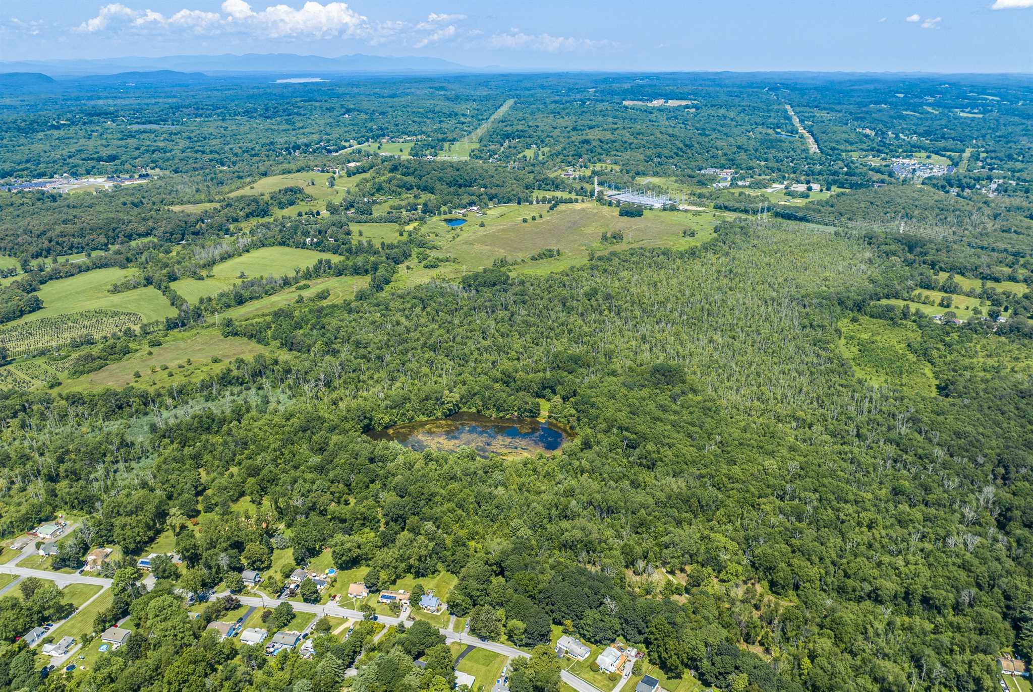 171 Bower Road Pleasant Valley, NY 12603 - Photo 4 of 32 a view of a green field with lots of tall trees