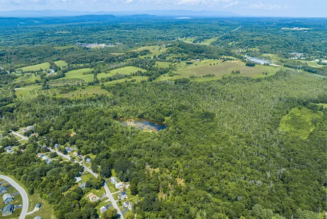 a view of a city with lush green forest