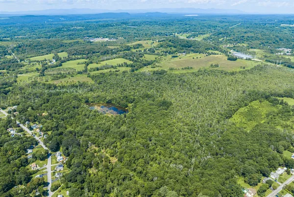 a view of a green field with lots of bushes