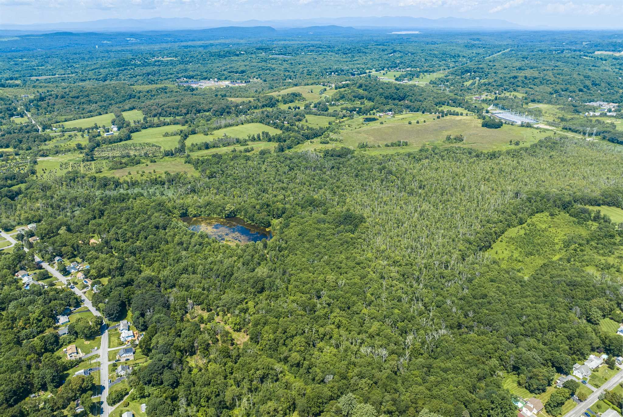 171 Bower Road Pleasant Valley, NY 12603 - Photo 6 of 32 a view of a green field with lots of bushes