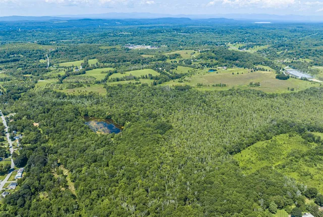 a view of a lush green forest with trees and some houses