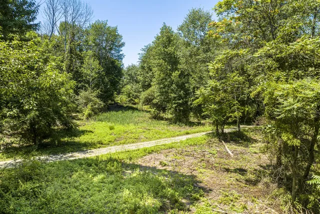 a view of outdoor space and yard