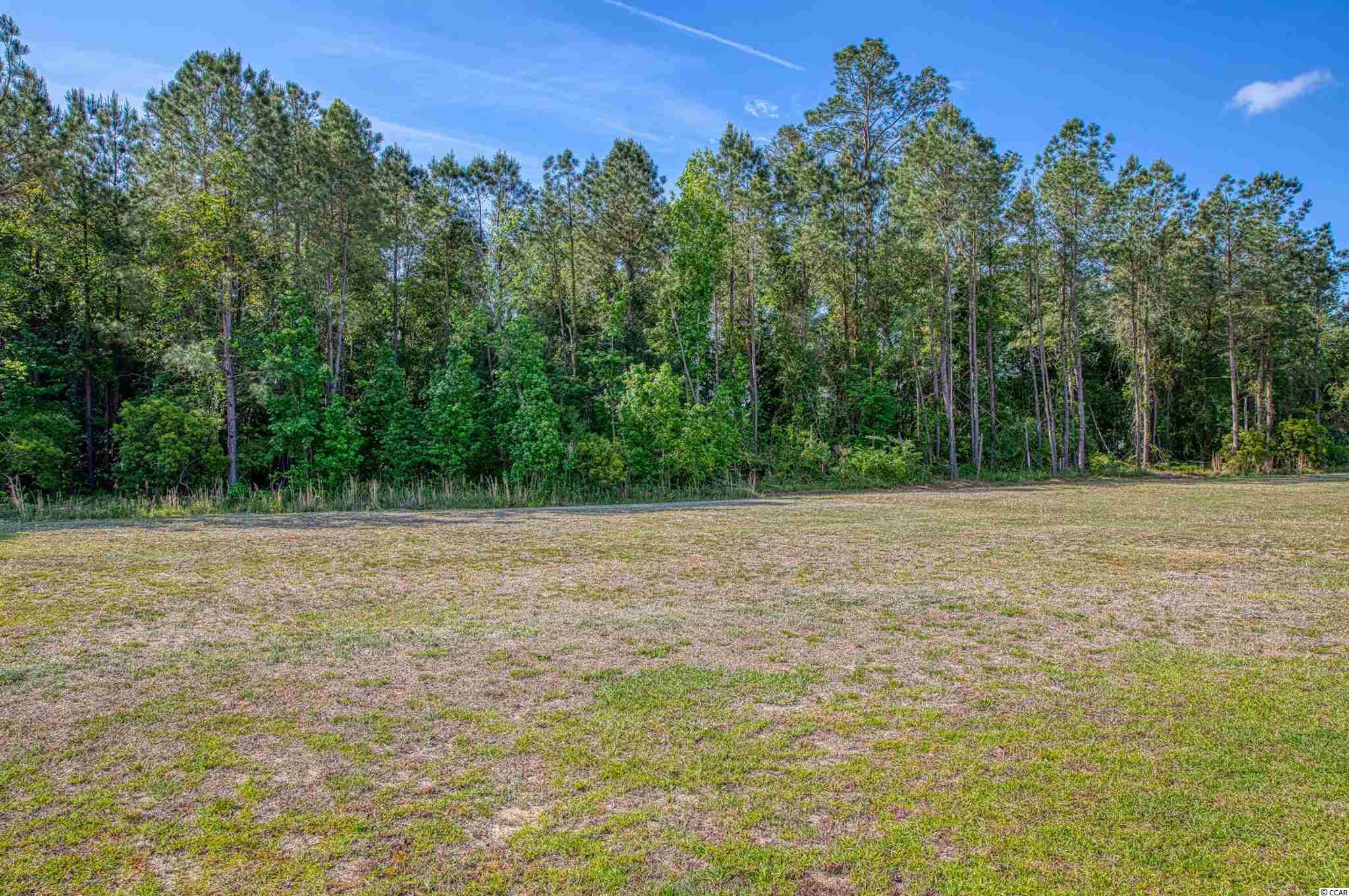 1942 West Homewood Road Conway, SC 29526 - Photo 4 of 28 Gallery Image 4