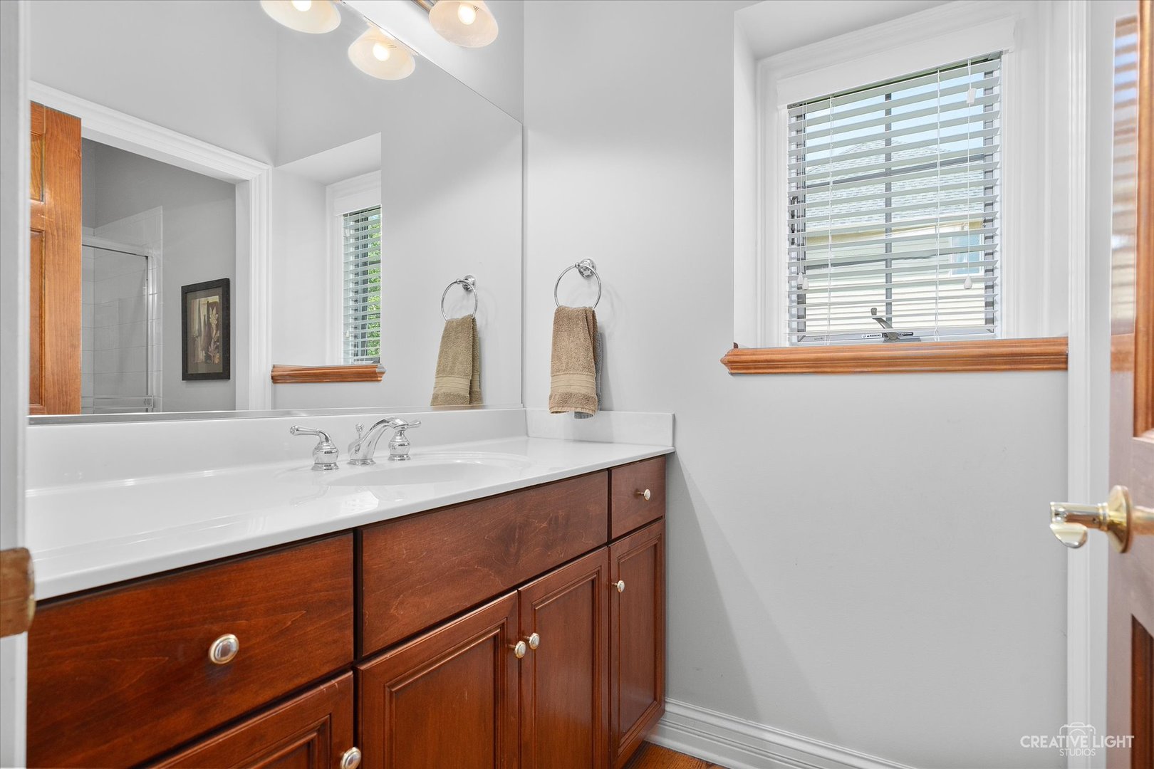2334 Kane Lane Batavia, IL 60510 - Photo 23 of 34 a bathroom with a sink and a mirror