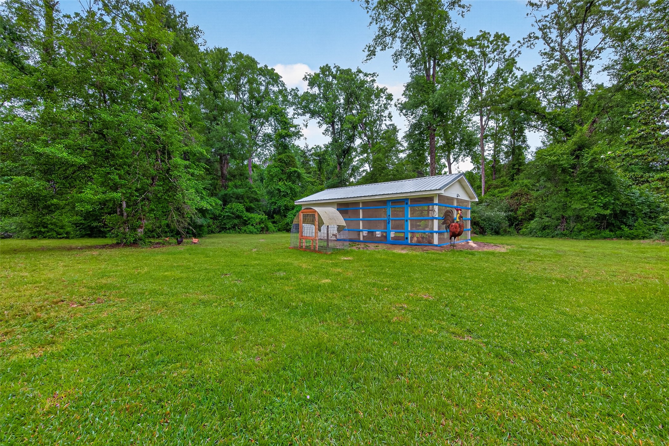 2181 Stringtown Road Shepherd, TX 77371 - Photo 34 of 50