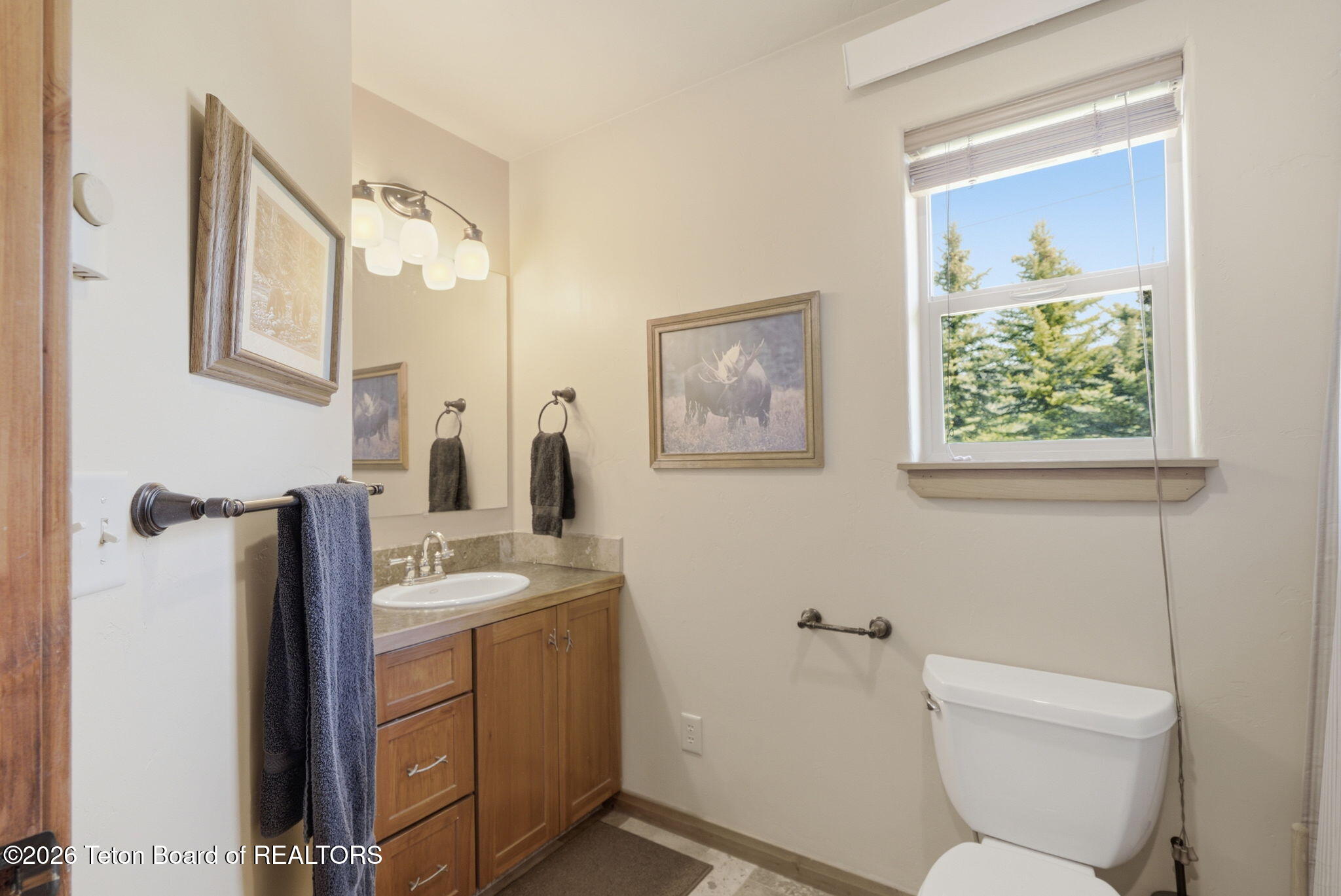 47 Holly Drive Star Valley Ranch, WY 83127 - Photo 19 of 62 14-web-or-mls-_AET9366