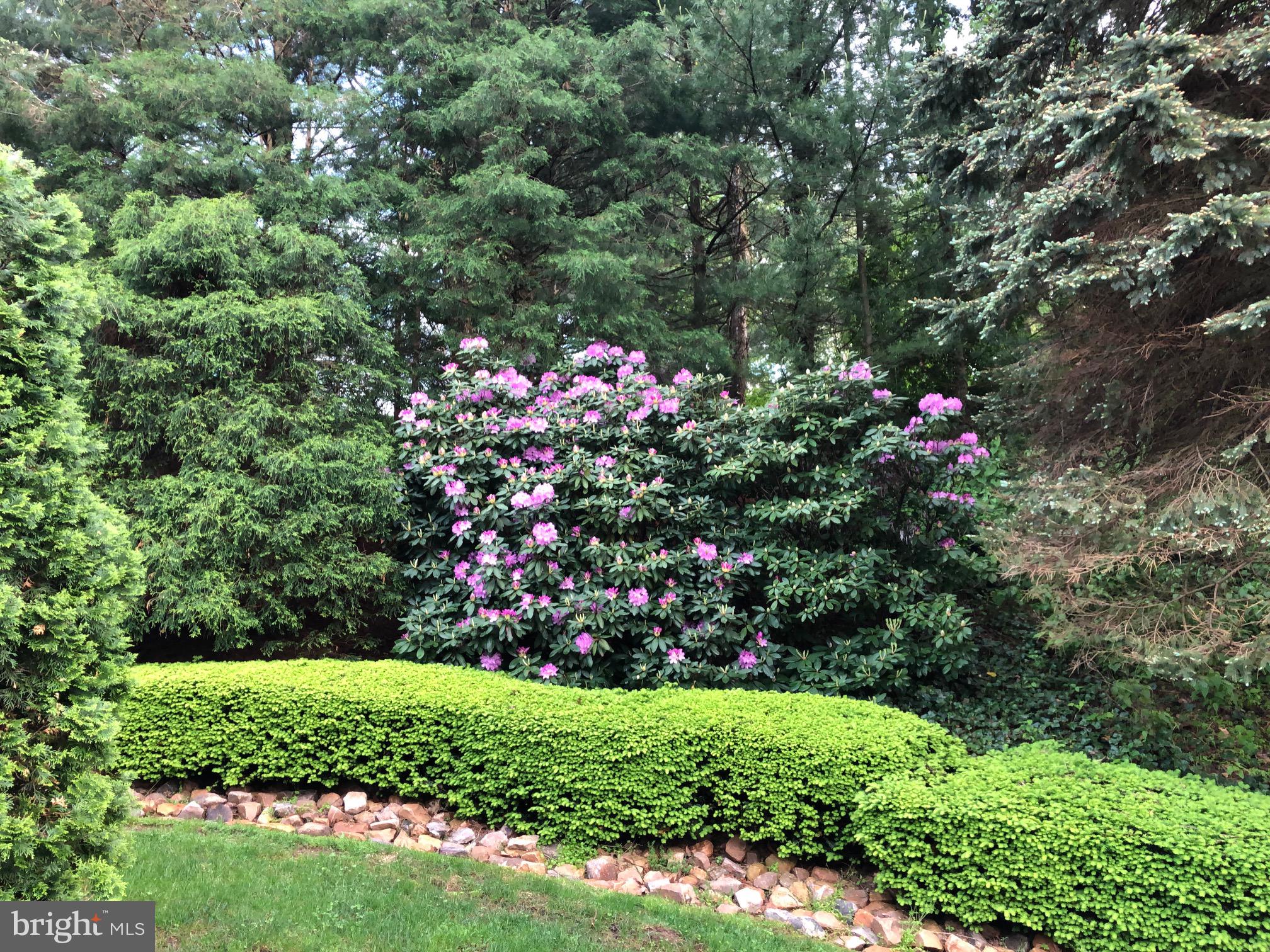 101 Robert Drive Reading, PA 19610 - Photo 22 of 118 Side Yard