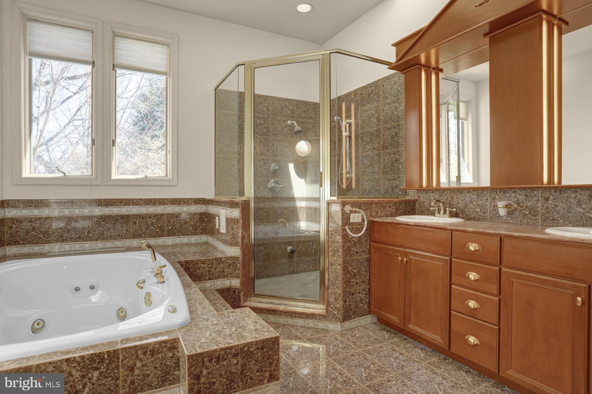 101 Robert Drive Reading, PA 19610 - Photo 82 of 118 a bathroom with a bathtub a sink and a window