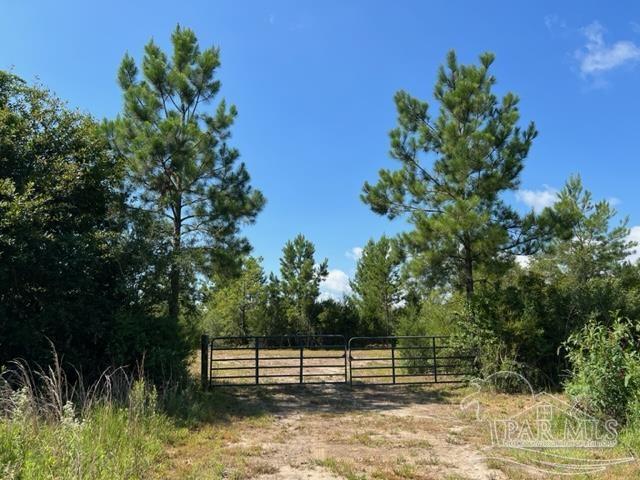 6899 Wolf Log Road Flomaton, AL 36441 - Photo 2 of 18