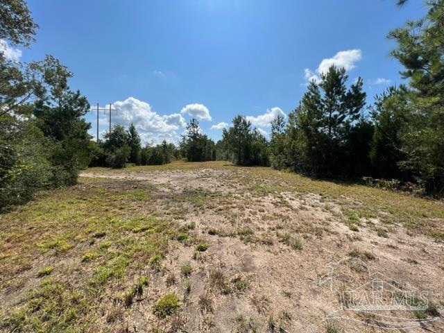 6899 Wolf Log Road Flomaton, AL 36441 - Photo 3 of 18