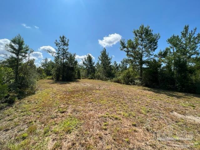 6899 Wolf Log Road Flomaton, AL 36441 - Photo 5 of 18