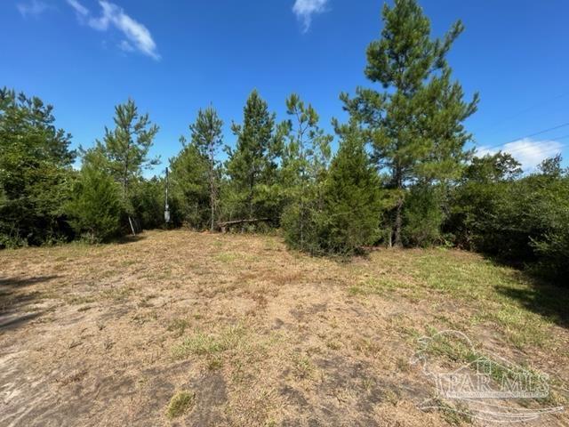 6899 Wolf Log Road Flomaton, AL 36441 - Photo 6 of 18
