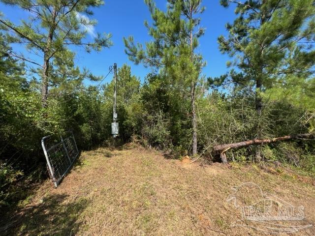 6899 Wolf Log Road Flomaton, AL 36441 - Photo 7 of 18