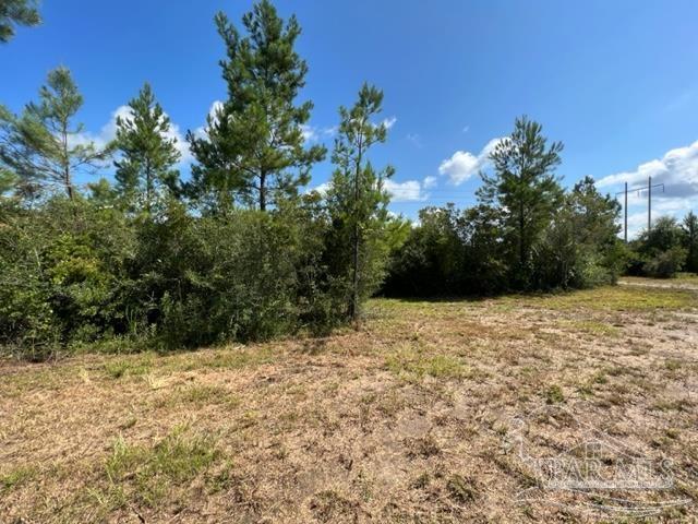 6899 Wolf Log Road Flomaton, AL 36441 - Photo 8 of 18