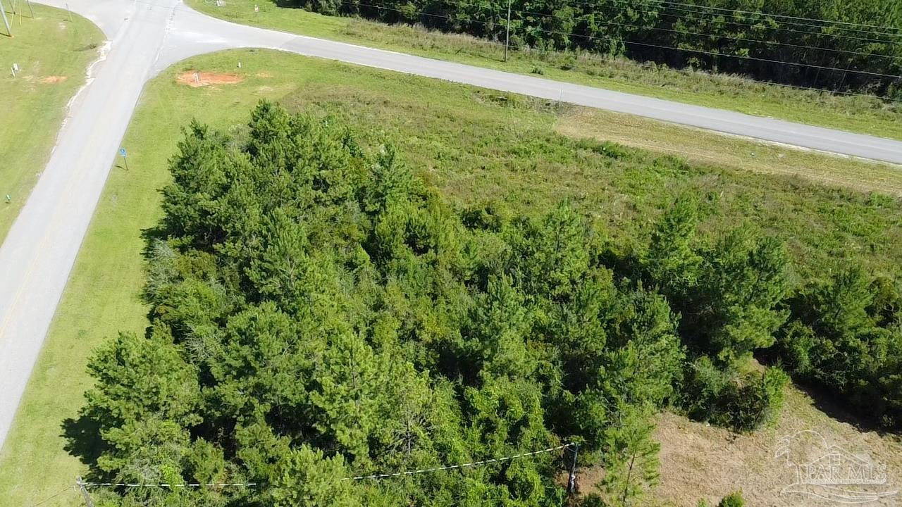 6899 Wolf Log Road Flomaton, AL 36441 - Photo 9 of 18