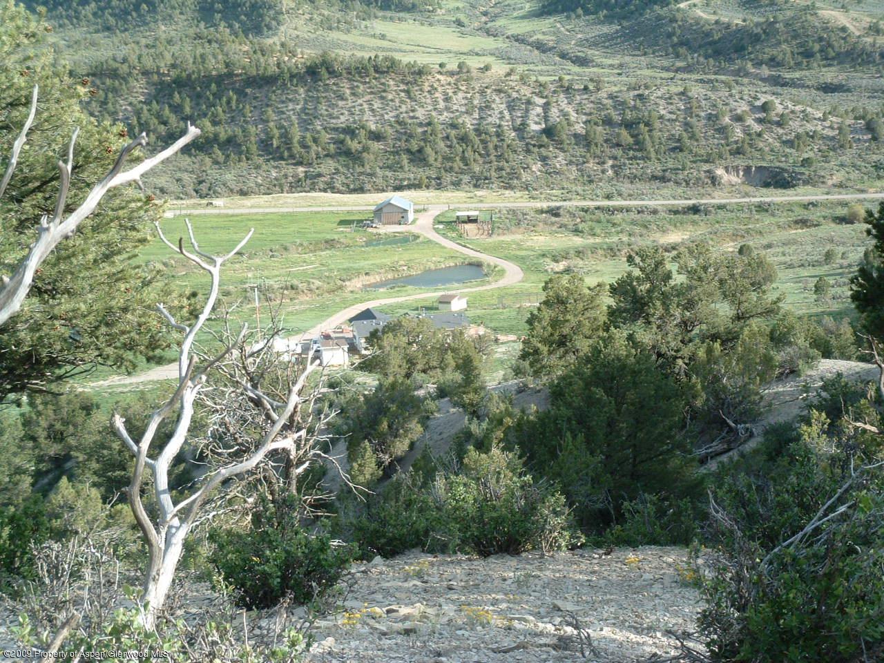 1225 County Road 226 Rifle, CO 81650 - Photo 11 of 22 a view of a yard with a tree