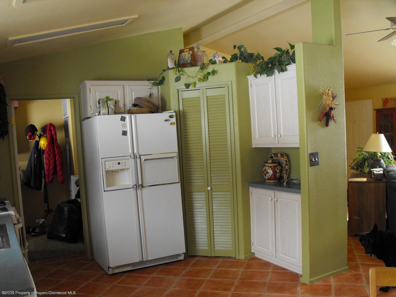 1225 County Road 226 Rifle, CO 81650 - Photo 7 of 22 a view of a closet area