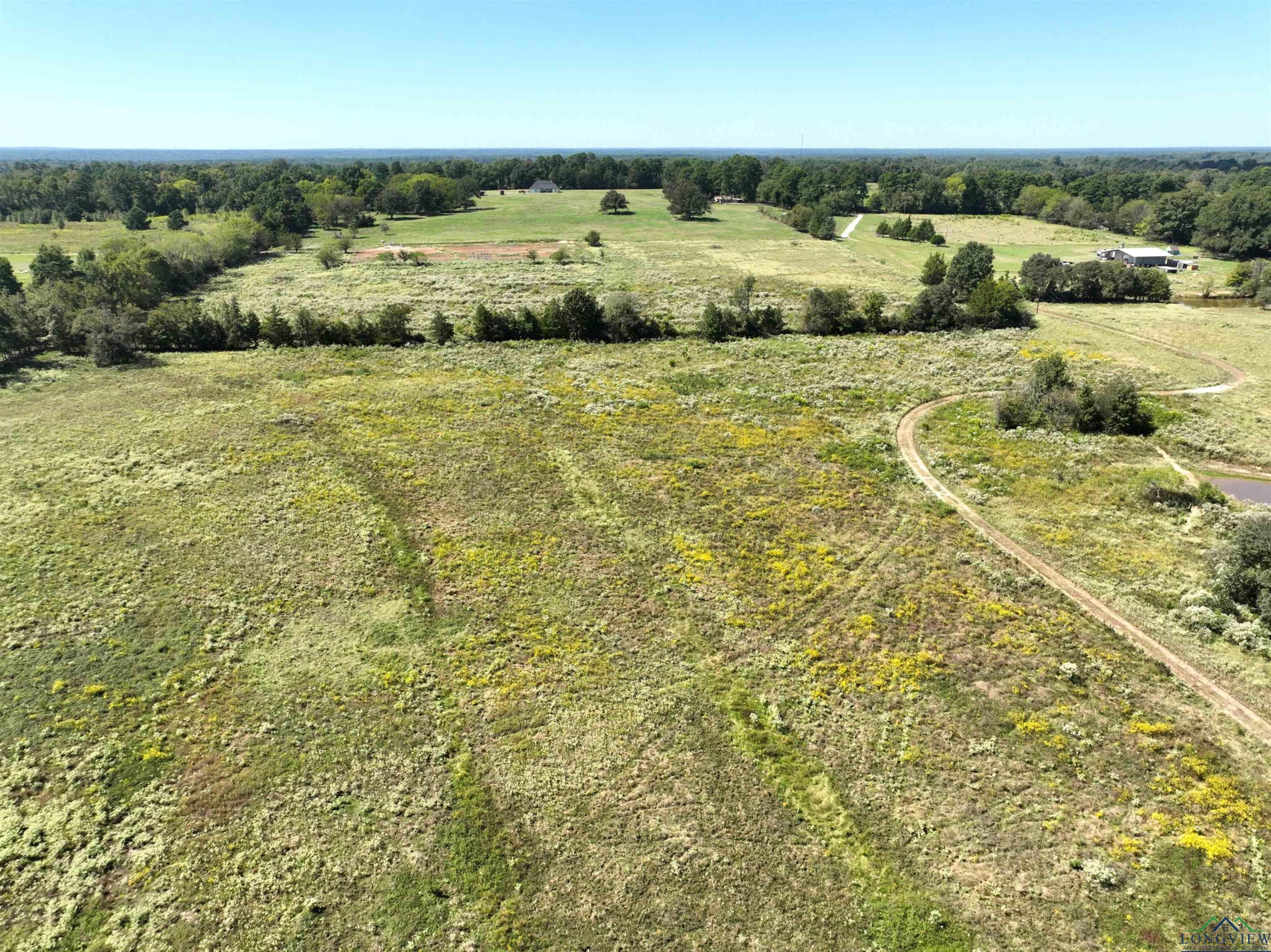 Tbd Ginger Road Gilmer, TX 75644 - Photo 19 of 27 Gallery Image 19