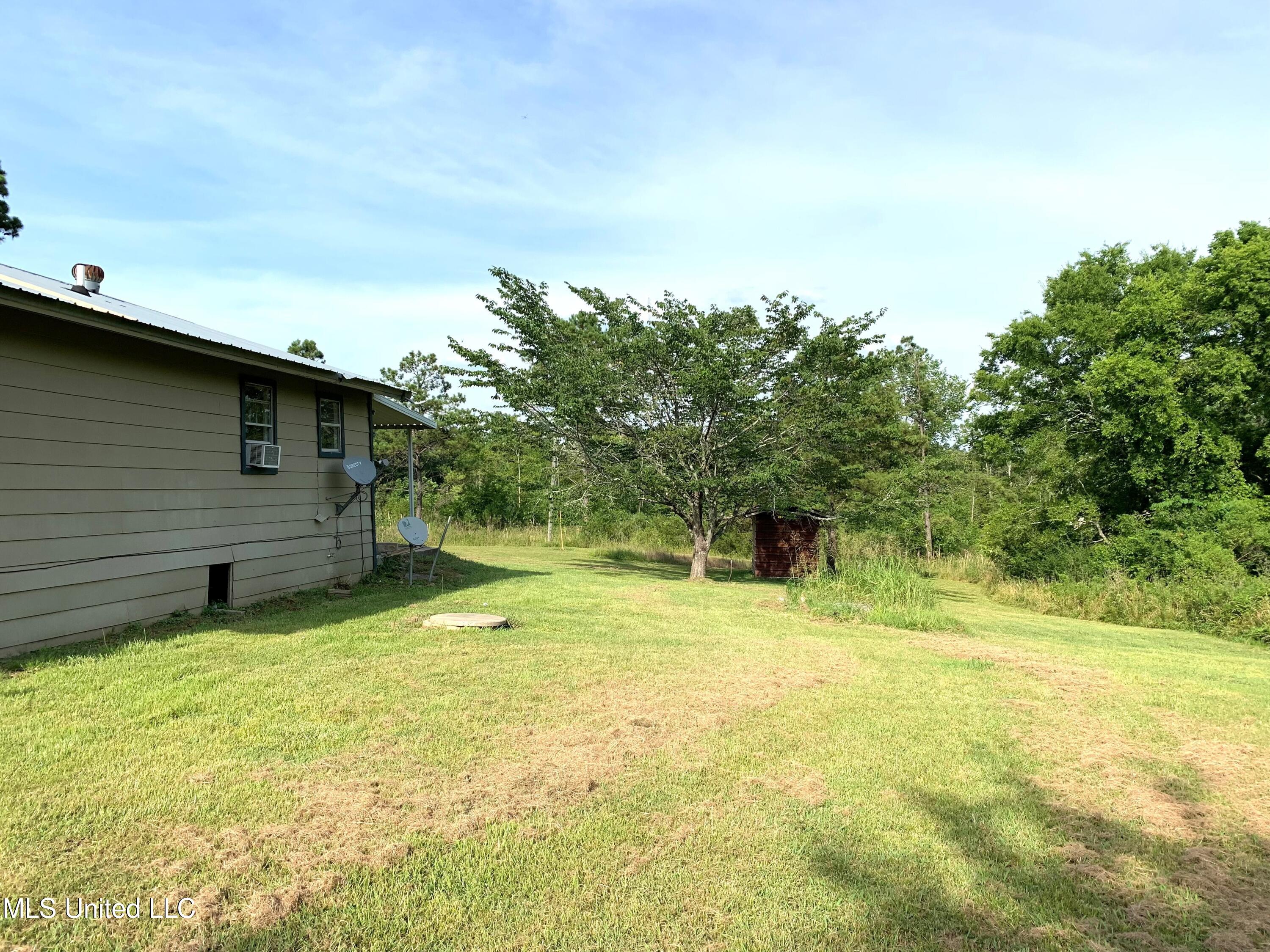 4699 Lake-Norris Road Lake, MS 39092 - Photo 5 of 15 Lake 5
