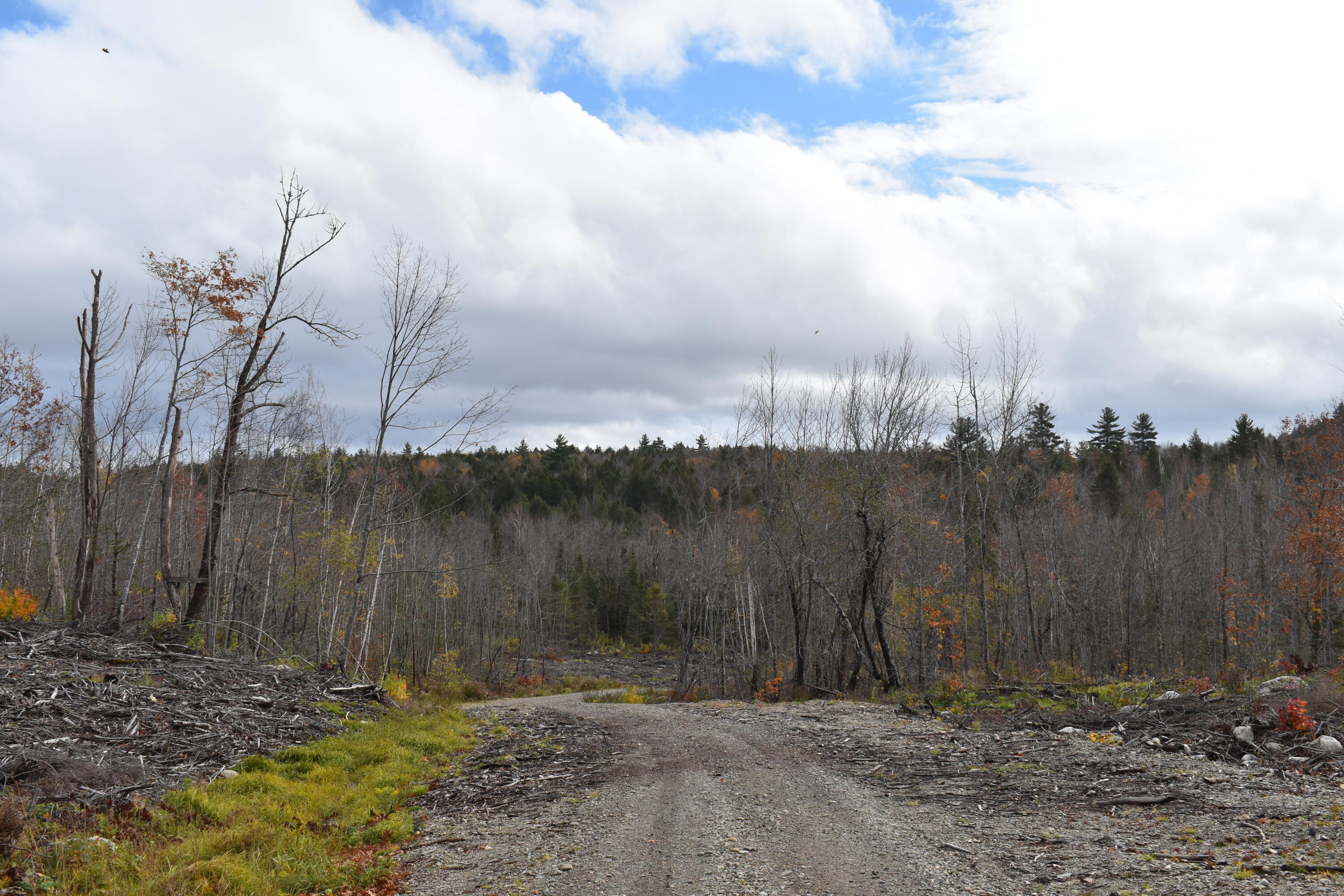 Off Mill Privilege Road Springfield, ME 04487 - Photo 3 of 11 DSC_0357