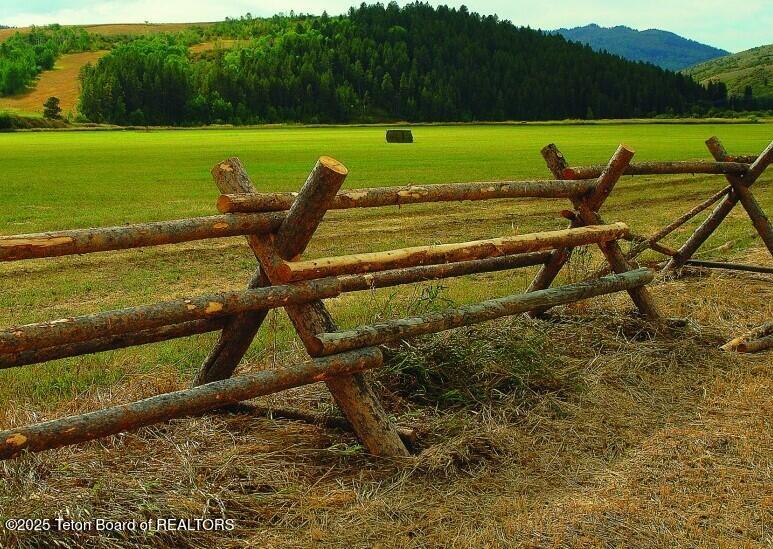 Screenshot 2025-10-15 115735