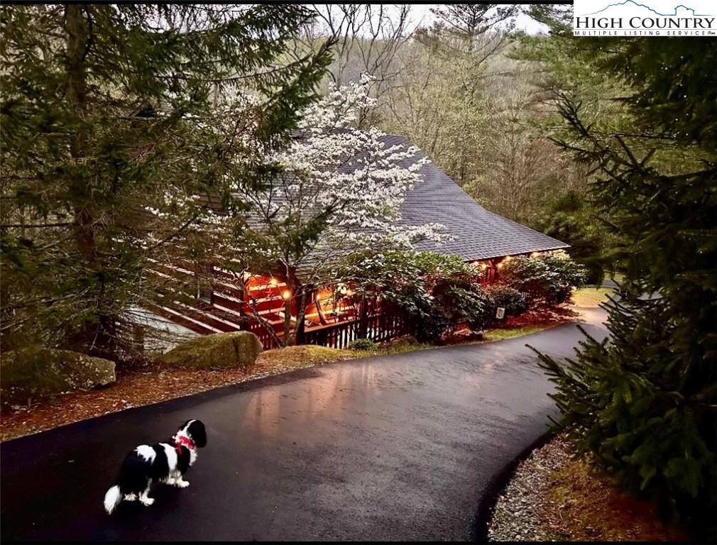 297 Woodby Ridge Road Vilas, NC 28692 - Photo 4 of 43 Gallery Image 4